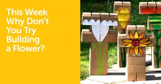 This Week Why Don't You Try Building a Flower? - GIGI TOYS